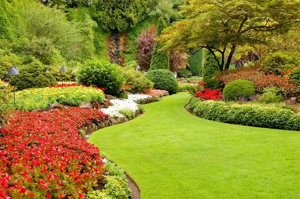 tuin